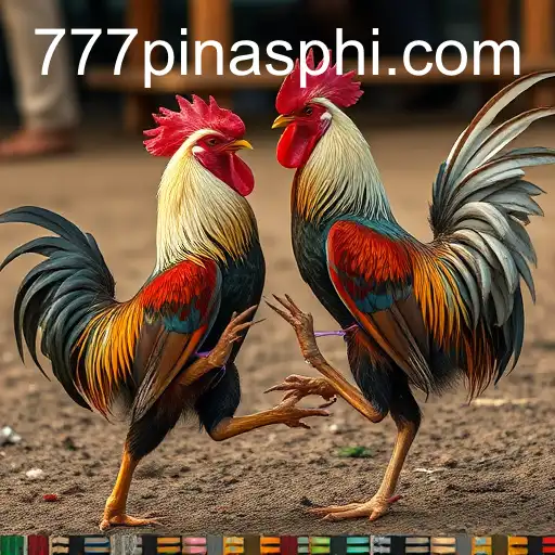 The Complex World of Cockfighting and Its Societal Impact